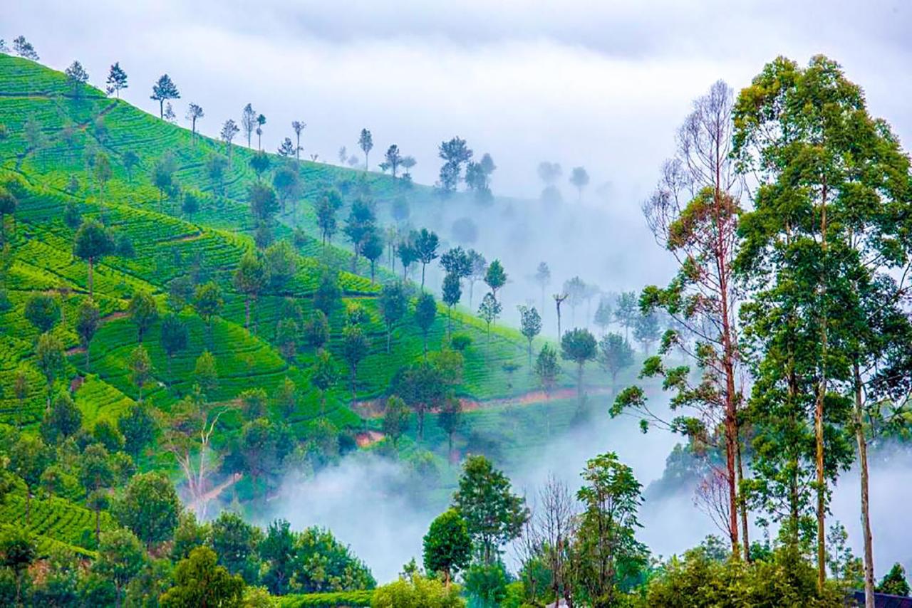 Awinco Haputale Hotel Buitenkant foto